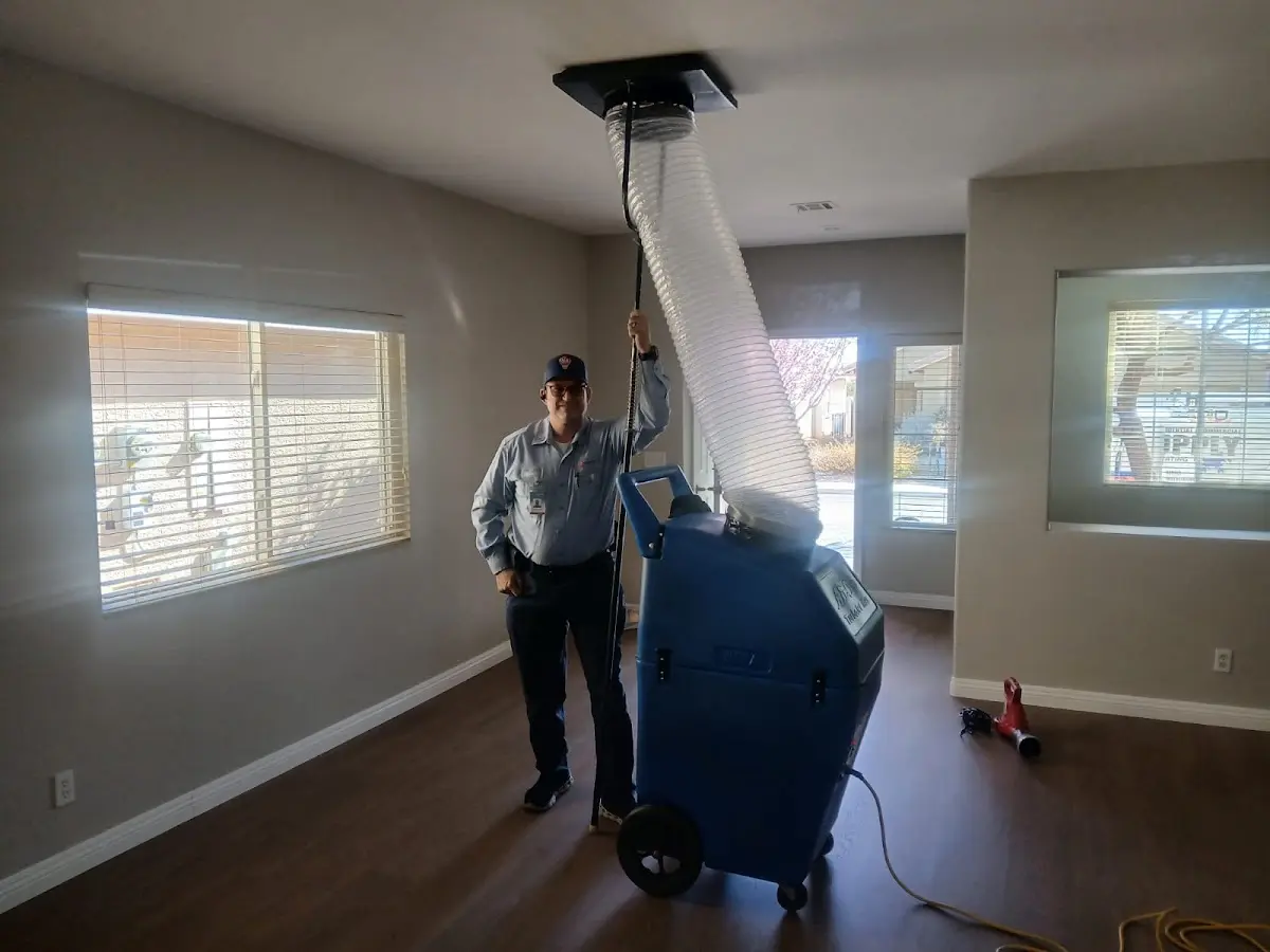 Professional Dryer Vent Cleaning work inside a Anderson home